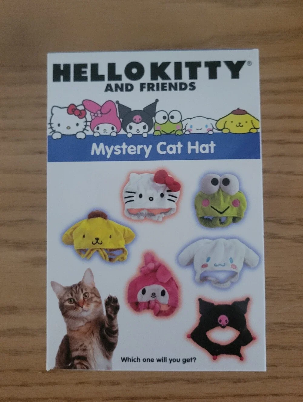 Sanrio My Melody Hat For Cats